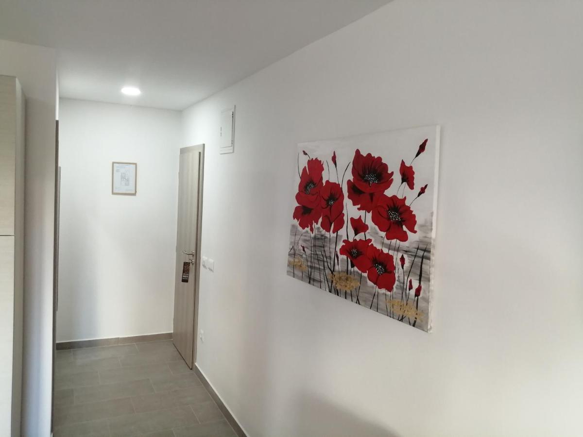 Studio Istra Rovinj Zewnętrze zdjęcie